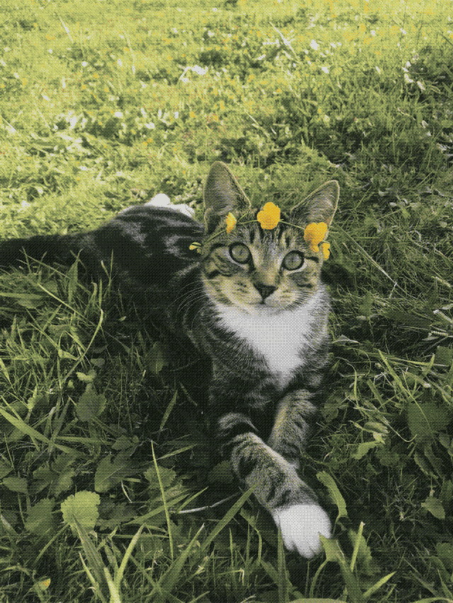 Sommerkadse